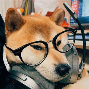 真人视频三十六技能的含金量
