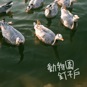 真人视频三十六技能的含金量
