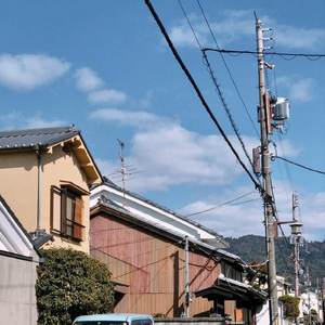 真人视频三十六技能的含金量
