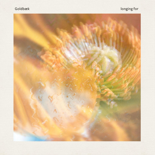 真人视频三十六技能的含金量
